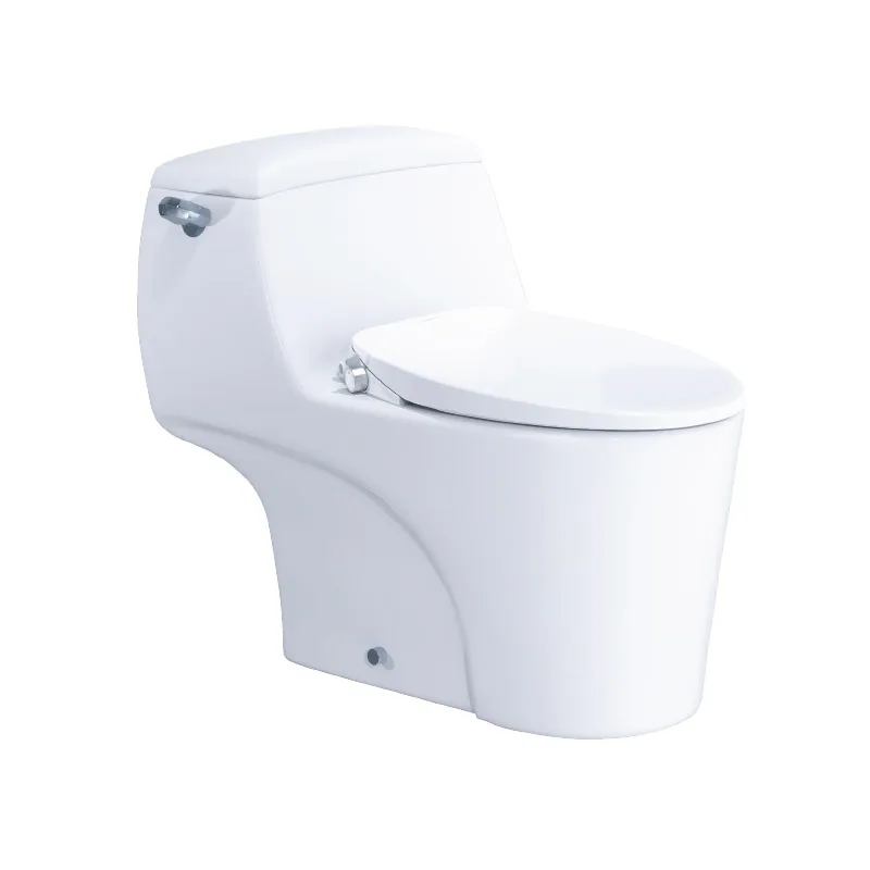 Bàn cầu một khối Caesar C1353F kèm nắp thông minh