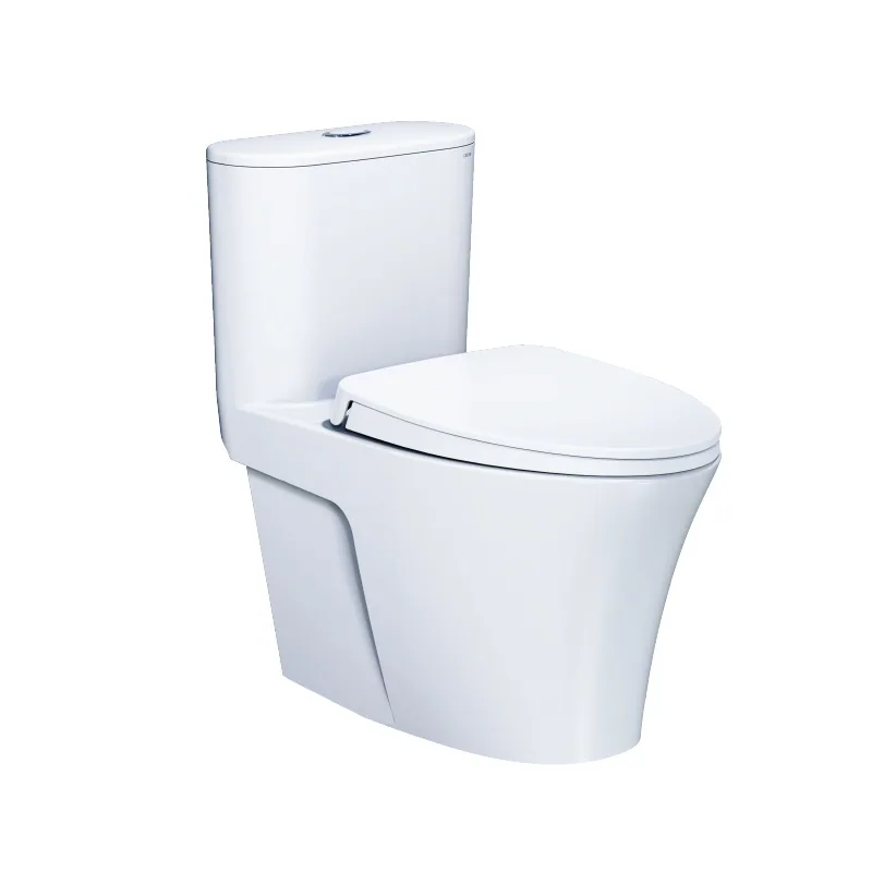 Bàn cầu một khối nắp êm Caesar C1395