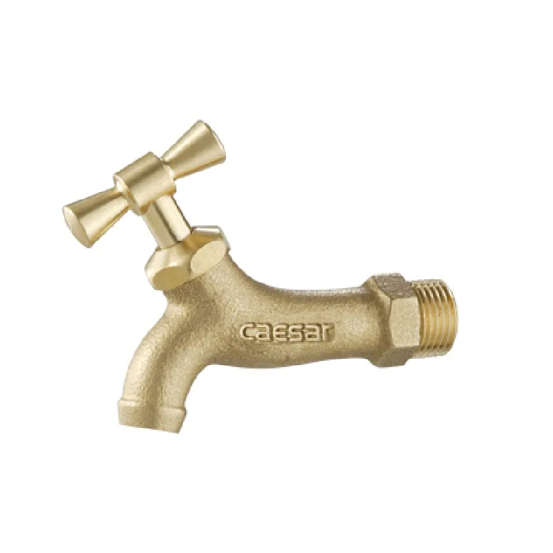 Vòi lạnh gắn tường Caesar W035